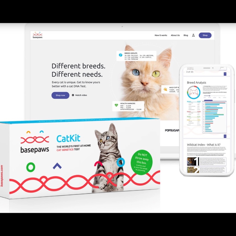 New:Basepaws cat genetic testing kit UNUSED